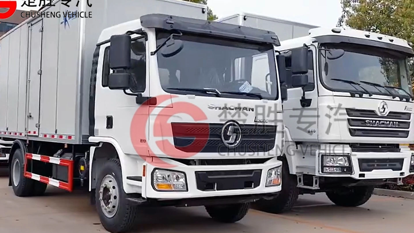 Ordem maravilhosa! As 10 unidades Shacman 4x2 20cbm caminhão de carga leve para o Quênia, Afica